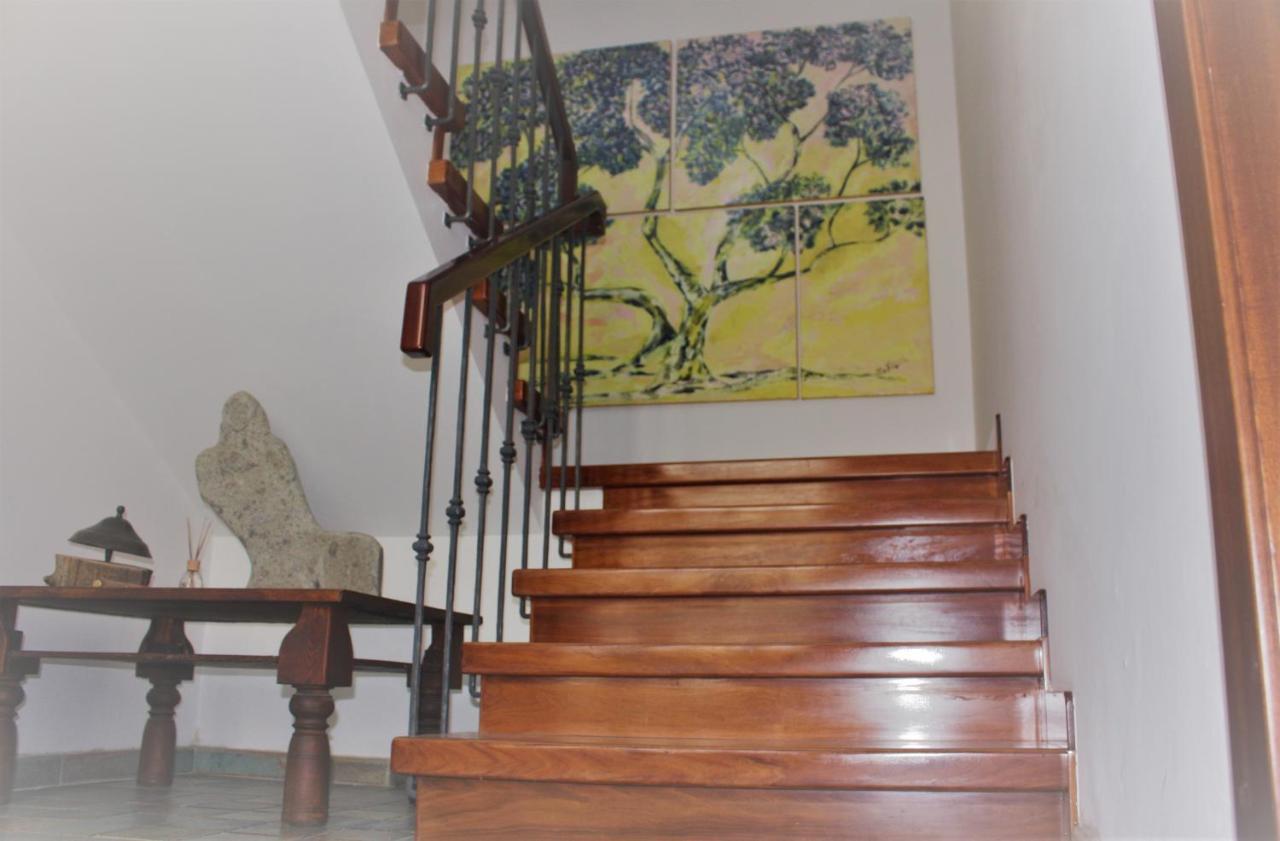 Maruru B & B Dell'Arte Civitanova Marche Eksteriør billede